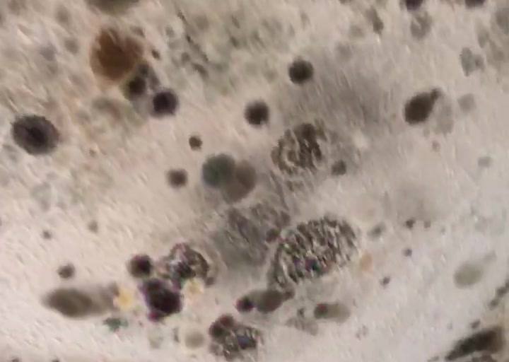 Mold growth on a wall